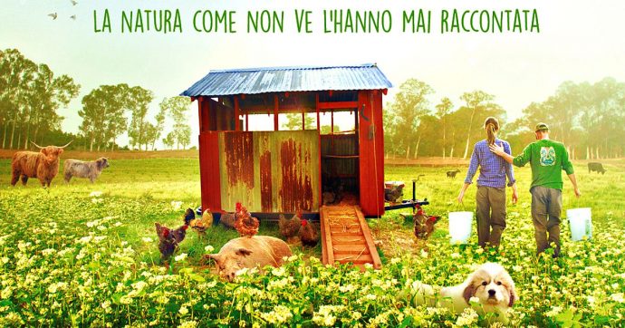 fattoria fattoria
